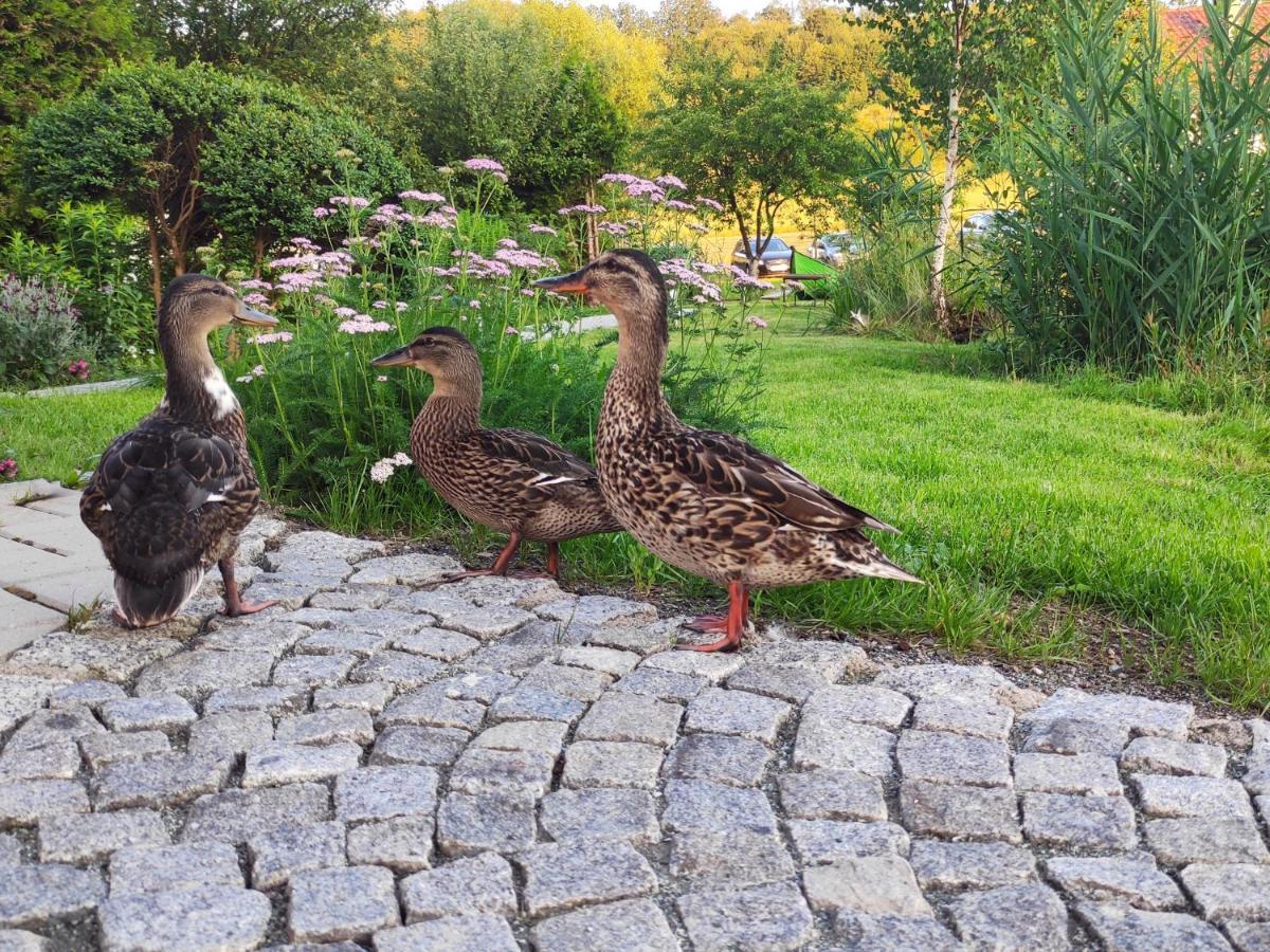 Domek Nad Rozlewiskiem Kudowa-Zdrój Esterno foto