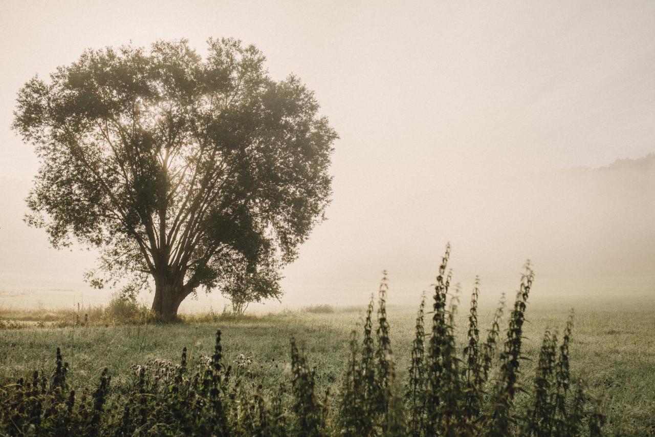 Domek Nad Rozlewiskiem Kudowa-Zdrój Esterno foto