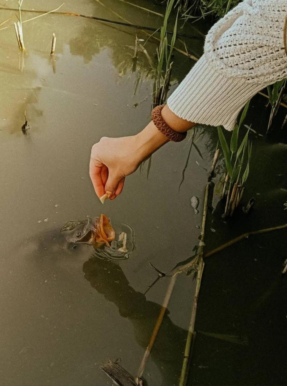 Domek Nad Rozlewiskiem Kudowa-Zdrój Esterno foto